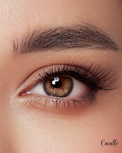 The 10 False Eyelashes you NEED in 2025