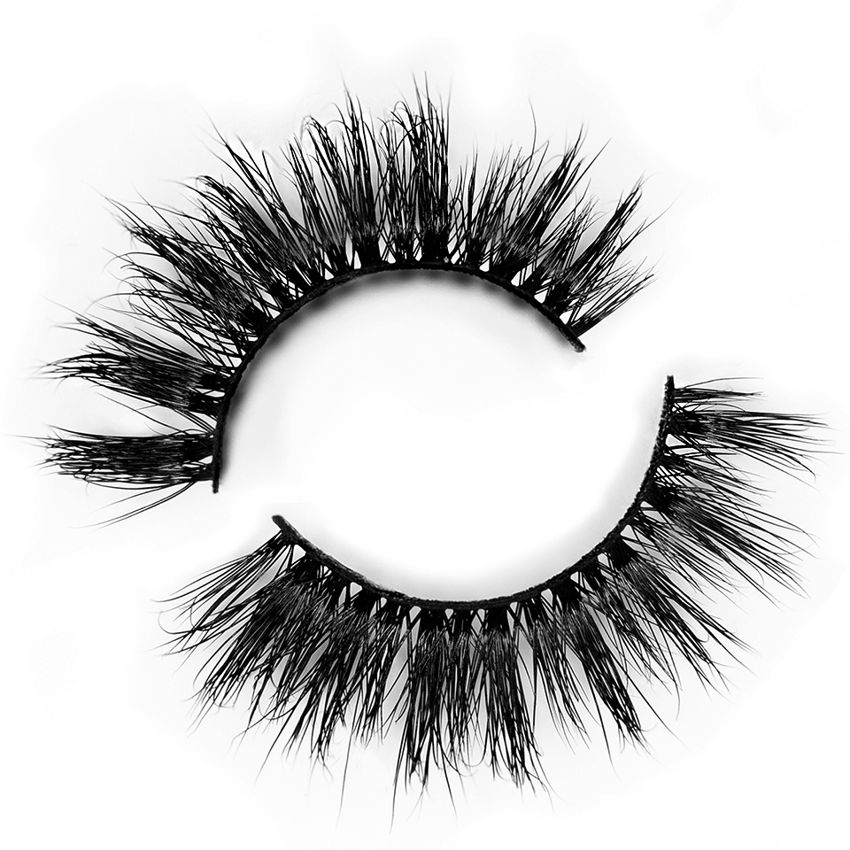 Aries Lash